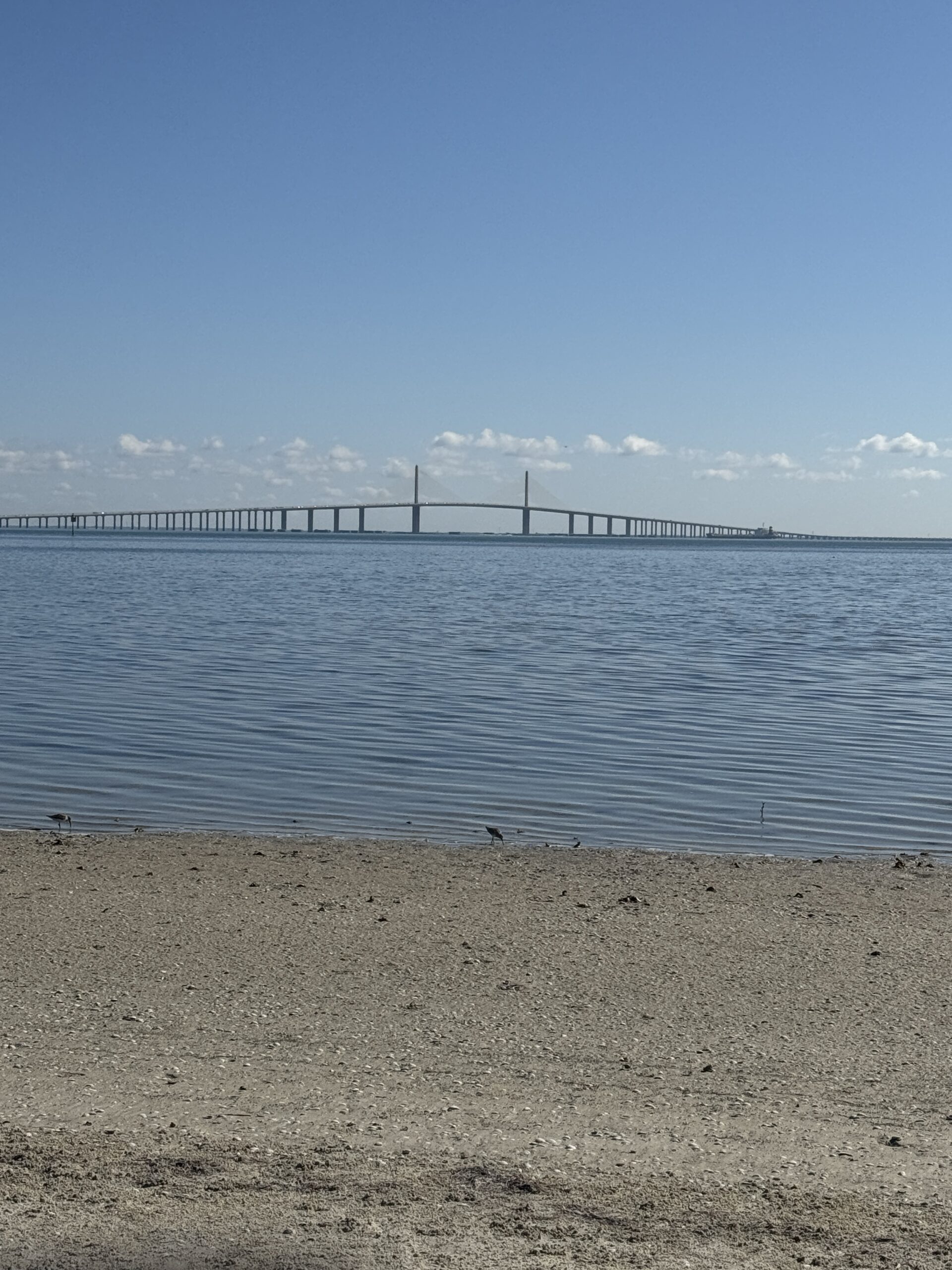 Serene bay view from St. Pete Beach near Bahia 155 vacation rental Isla del Sol