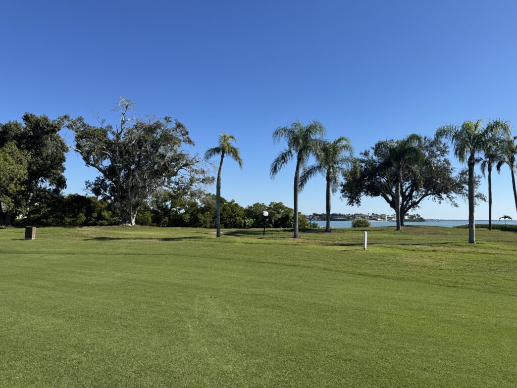 Isla del Sol golf course with palm trees and manicured fairways near Bahia 155