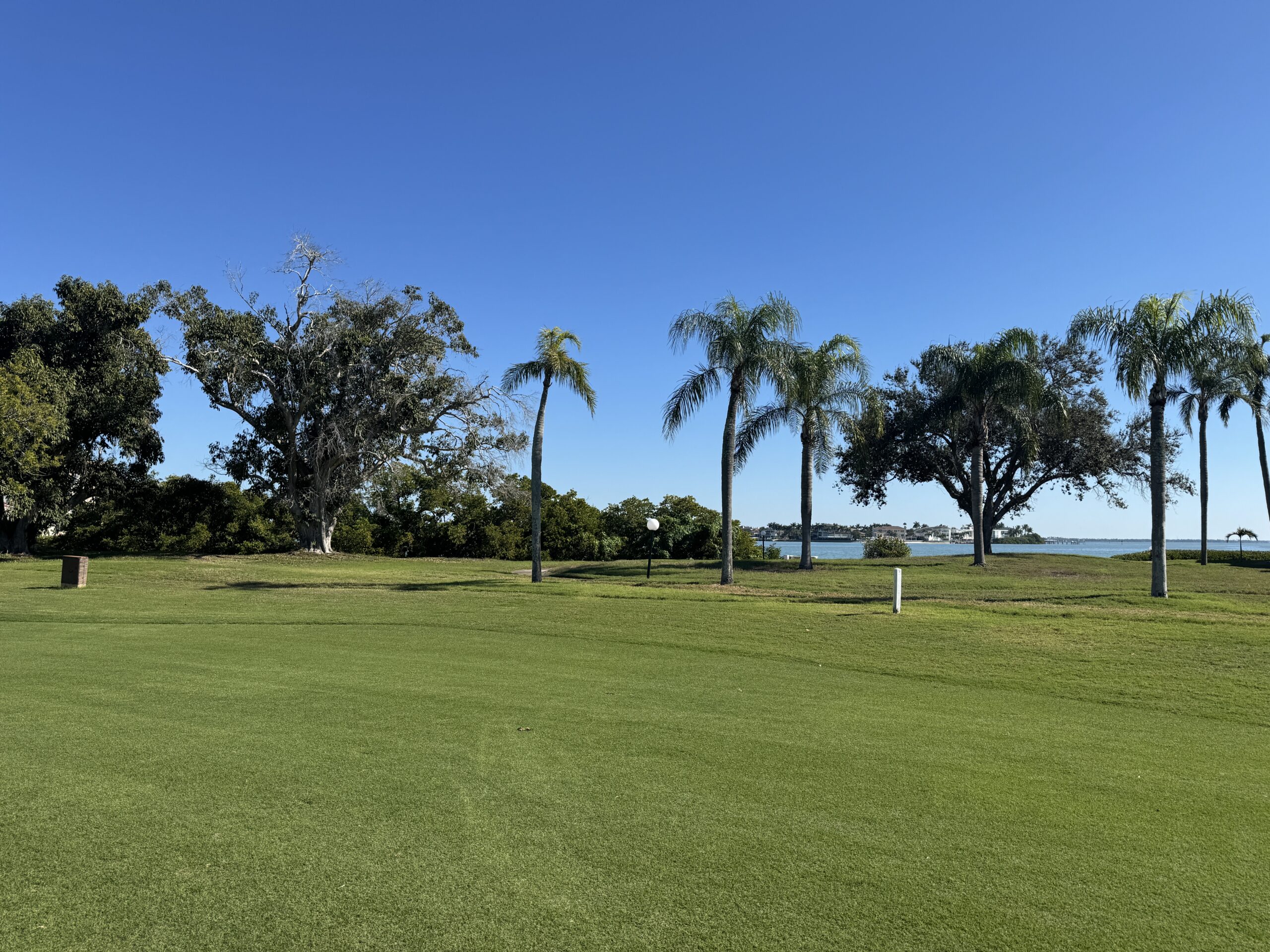Isla del Sol golf course with palm trees and manicured fairways near Bahia 155
